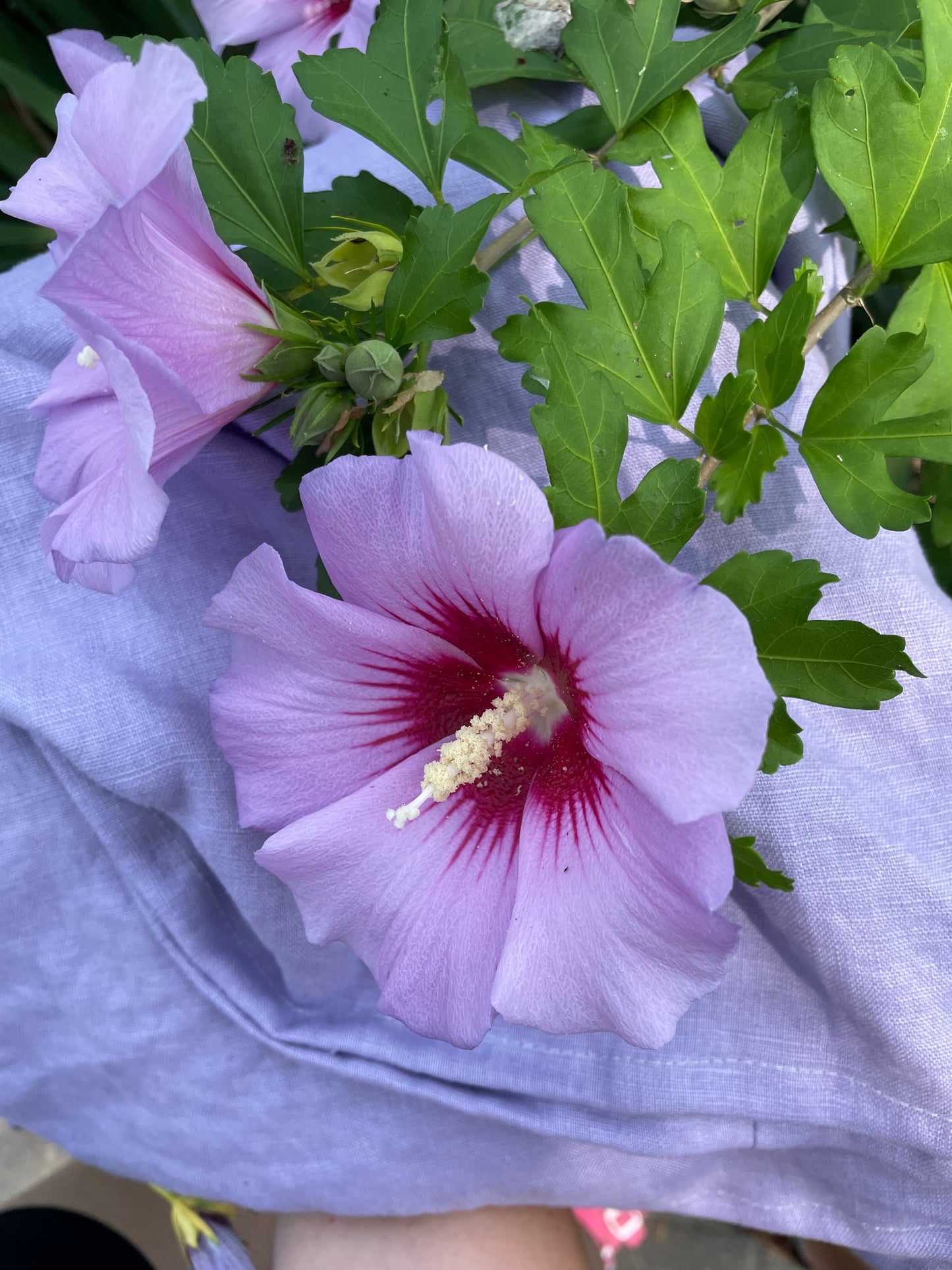 Boxy Linen Blouse In Lavender